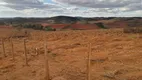 Foto 8 de Fazenda/Sítio à venda, 3150000m² em Zona Rural, Passa Tempo