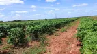 Foto 20 de Fazenda/Sítio com 3 Quartos à venda, 25000m² em Centro, Touros