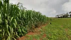 Foto 19 de Fazenda/Sítio com 2 Quartos à venda, 430000m² em Centro, Itaguara