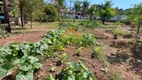 Foto 41 de Fazenda/Sítio com 3 Quartos à venda, 5000m² em Estância da Colina, Salto