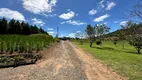 Foto 15 de Fazenda/Sítio com 2 Quartos à venda, 30000m² em Zona Rural, Campo Alegre