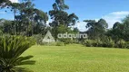 Foto 18 de Fazenda/Sítio com 4 Quartos à venda, 220m² em Bocaina, Ponta Grossa