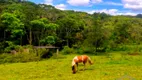 Foto 49 de Fazenda/Sítio com 19 Quartos à venda, 121000m² em Centro, Juquitiba