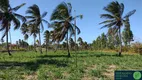 Foto 10 de Fazenda/Sítio à venda, 360000m² em Zona Rural, Trairi