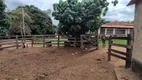 Foto 7 de Fazenda/Sítio com 4 Quartos à venda, 20m² em Alexania, Alexânia