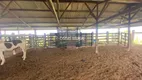 Foto 9 de Fazenda/Sítio à venda, 85m² em , Porto Seguro