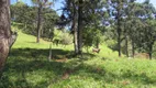 Foto 97 de Fazenda/Sítio com 1 Quarto à venda, 150000m² em Rural, Extrema