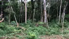 Foto 6 de Fazenda/Sítio com 1 Quarto à venda, 10000m² em Pangare, Quitandinha