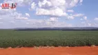 Foto 15 de Fazenda/Sítio à venda, 71830000m² em Area Rural de Paracatu, Paracatu