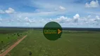 Foto 5 de Fazenda/Sítio à venda, 96800000m² em Zona Rural, Araguaiana