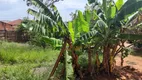 Foto 9 de Lote/Terreno à venda em Centro, Olímpia