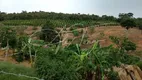 Foto 2 de Fazenda/Sítio com 3 Quartos à venda, 96800m² em Timbui, Fundão