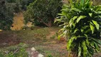 Foto 10 de Fazenda/Sítio com 2 Quartos à venda, 250m² em Loteamento Residencial Entre Verdes Sousas, Campinas