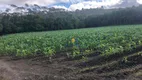 Foto 11 de Lote/Terreno à venda em Centro, Bocaiúva do Sul