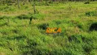 Foto 18 de Fazenda/Sítio à venda, 15000000m² em Centro, Humaitá