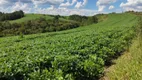 Foto 7 de Fazenda/Sítio com 2 Quartos à venda, 60m² em Zona Rural, São Miguel Arcanjo