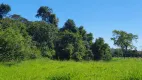 Foto 6 de Lote/Terreno à venda, 20000m² em Zona Rural, São Gonçalo do Pará