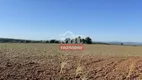 Foto 26 de Fazenda/Sítio à venda em Zona Rural, São Francisco de Goiás