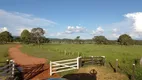 Foto 13 de Fazenda/Sítio à venda em Zona Rural, São Gabriel do Oeste