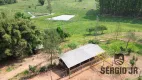 Foto 13 de Fazenda/Sítio com 3 Quartos à venda, 33225m² em Zona Rural, Triunfo