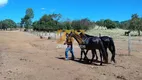 Foto 35 de Fazenda/Sítio com 1 Quarto à venda, 1m² em Area Rural de Palmas, Palmas