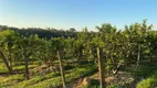 Foto 7 de Fazenda/Sítio com 2 Quartos à venda, 200m² em Reforma Agraria, Valinhos