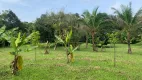 Foto 11 de Fazenda/Sítio com 1 Quarto à venda, 14000m² em Chácara Lucel, Itanhaém