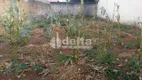 Foto 2 de Lote/Terreno à venda, 400m² em Carajas, Uberlândia