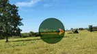 Foto 3 de Fazenda/Sítio à venda, 15923600m² em Zona Rural, Britânia