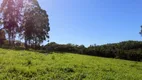 Foto 71 de Fazenda/Sítio à venda, 20m² em Fazenda São Borja, São Leopoldo