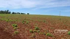 Foto 2 de Fazenda/Sítio à venda, 5000m² em Tupinamba, Astorga