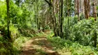 Foto 15 de Fazenda/Sítio à venda, 45000m² em Zona Rural, Gonçalves