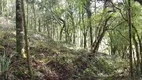 Foto 5 de Fazenda/Sítio à venda, 20000m² em Bateias, Campo Largo