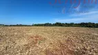 Foto 2 de Fazenda/Sítio com 1 Quarto à venda, 10m² em Alto Alegre, Cascavel