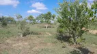 Foto 8 de Fazenda/Sítio com 2 Quartos à venda, 4990m² em Centro, Carapebus