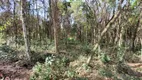 Foto 2 de Lote/Terreno à venda em Condomínio das Águas Claras, Brumadinho