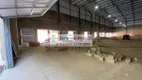 Foto 16 de Galpão/Depósito/Armazém para alugar, 7245m² em Água Chata, Guarulhos