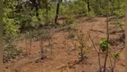 Foto 2 de Fazenda/Sítio com 1 Quarto à venda, 15000000m² em Zona Rural, Felixlândia