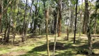 Foto 63 de Fazenda/Sítio com 3 Quartos à venda, 260m² em Lageado, Campo Alegre