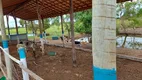 Foto 25 de Fazenda/Sítio com 4 Quartos para venda ou aluguel, 450m² em Chapeu do Sol, São João da Barra