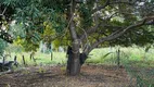 Foto 16 de Fazenda/Sítio à venda, 13m² em Zona Rural, Poxoréu