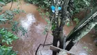 Foto 50 de Fazenda/Sítio com 2 Quartos à venda, 300m² em Agulha, Fernando Prestes