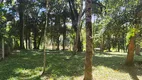 Foto 35 de Fazenda/Sítio com 1 Quarto à venda, 10001m² em Campestre dos Paulas, Mandirituba