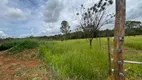 Foto 6 de Fazenda/Sítio à venda, 20000m² em Ponte Alta Norte, Brasília