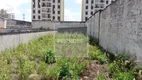 Foto 7 de Lote/Terreno à venda, 500m² em Jardim Vila Formosa, São Paulo
