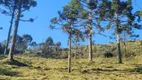 Foto 2 de Fazenda/Sítio à venda, 190000m² em Centro, Rio Rufino