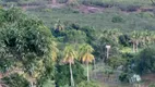 Foto 11 de Fazenda/Sítio com 3 Quartos à venda, 200m² em Ponta Negra, Natal