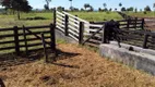 Foto 13 de Fazenda/Sítio com 2 Quartos à venda, 70m² em Zona Rural, Minaçu