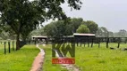 Foto 3 de Fazenda/Sítio à venda, 40000m² em Zona Rural, Dois Irmãos do Buriti