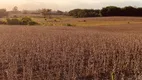 Foto 14 de Fazenda/Sítio à venda, 15000m² em Verdinho, Criciúma